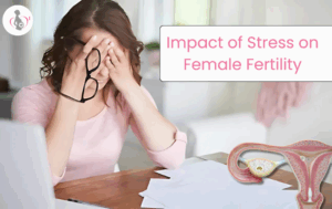 Effects of Stress on the Female Reproductive System